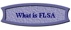 What is FLSA